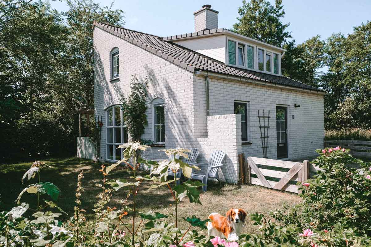 luxe vakantiehuis waddeneiland met hond