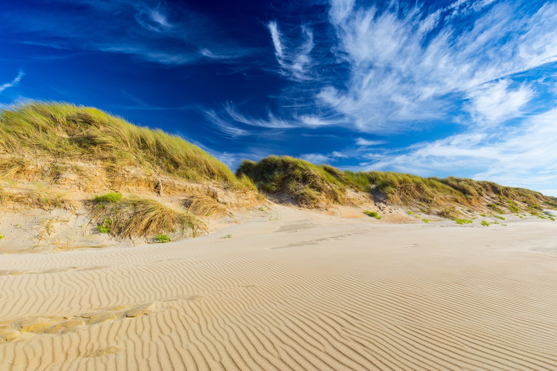 op vakantie aan de belgische kust