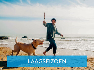 vakantie met hond aan zee belgie