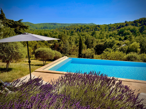 luxe vakantiehuis te huur
