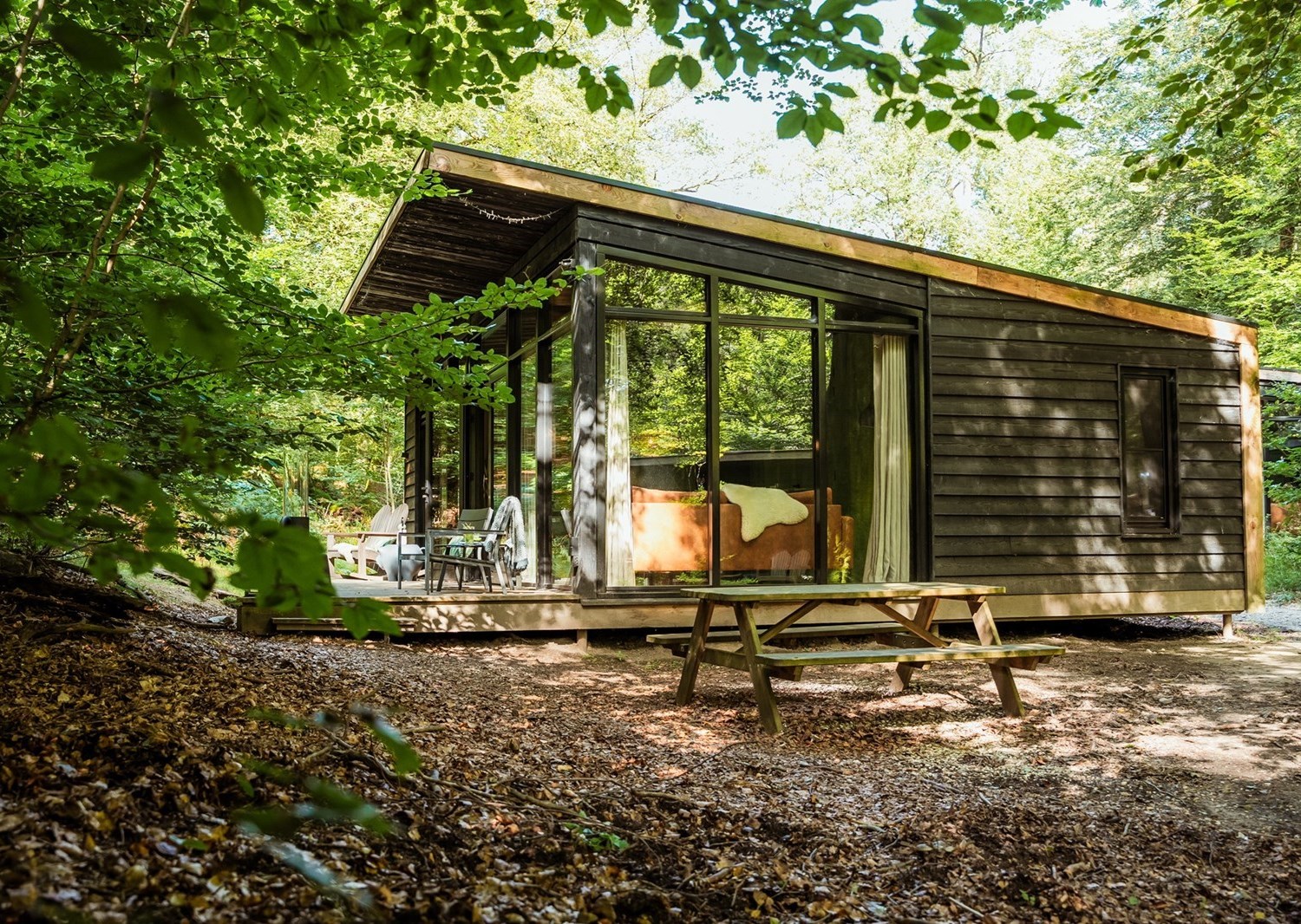 veluwe accommodatie