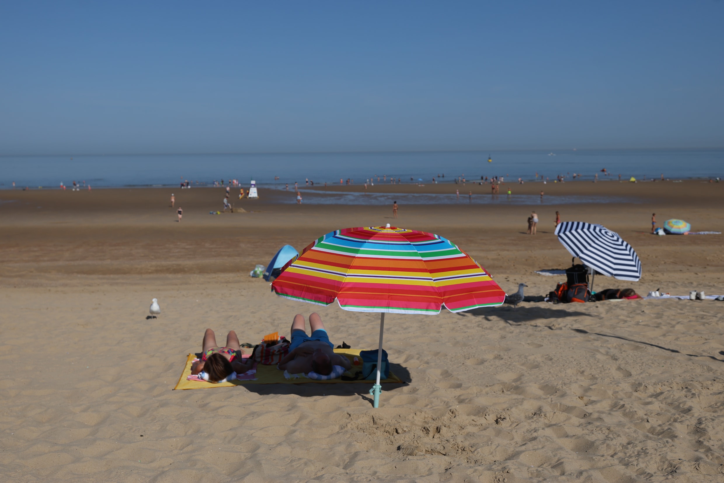 belgisch