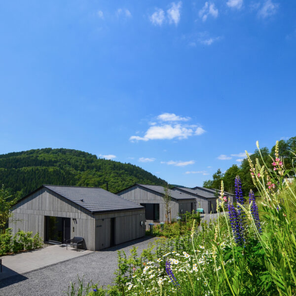 luxe vakantiehuizen sauerland